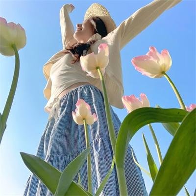 街上无树